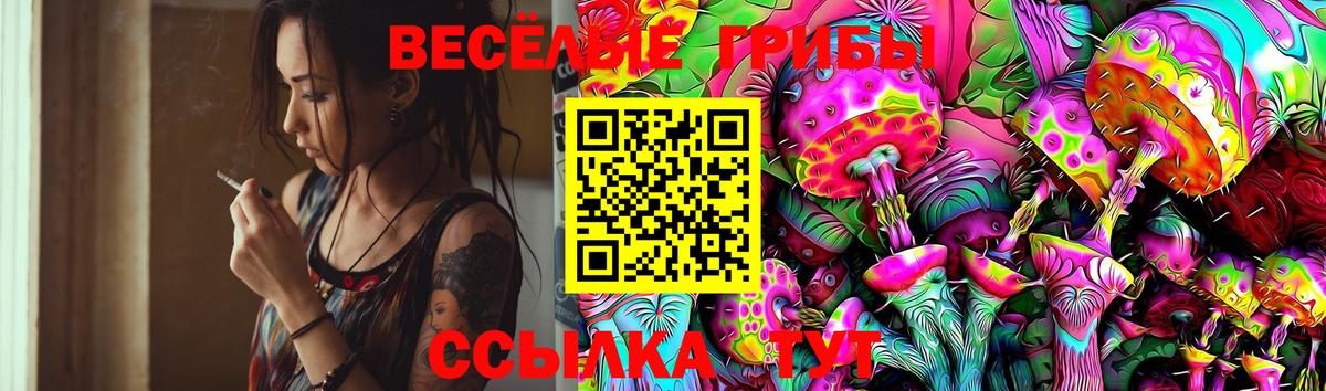 Галлюциногенные грибы Psilocybe Алексин