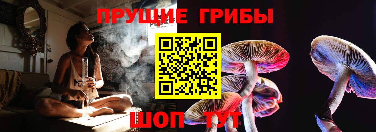 Алексин  Псилоцибиновые грибы мицелий  Вход с VPN 